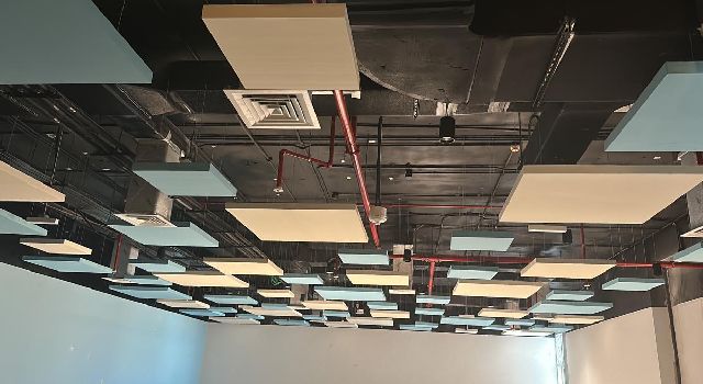 Suspended Ceiling Works